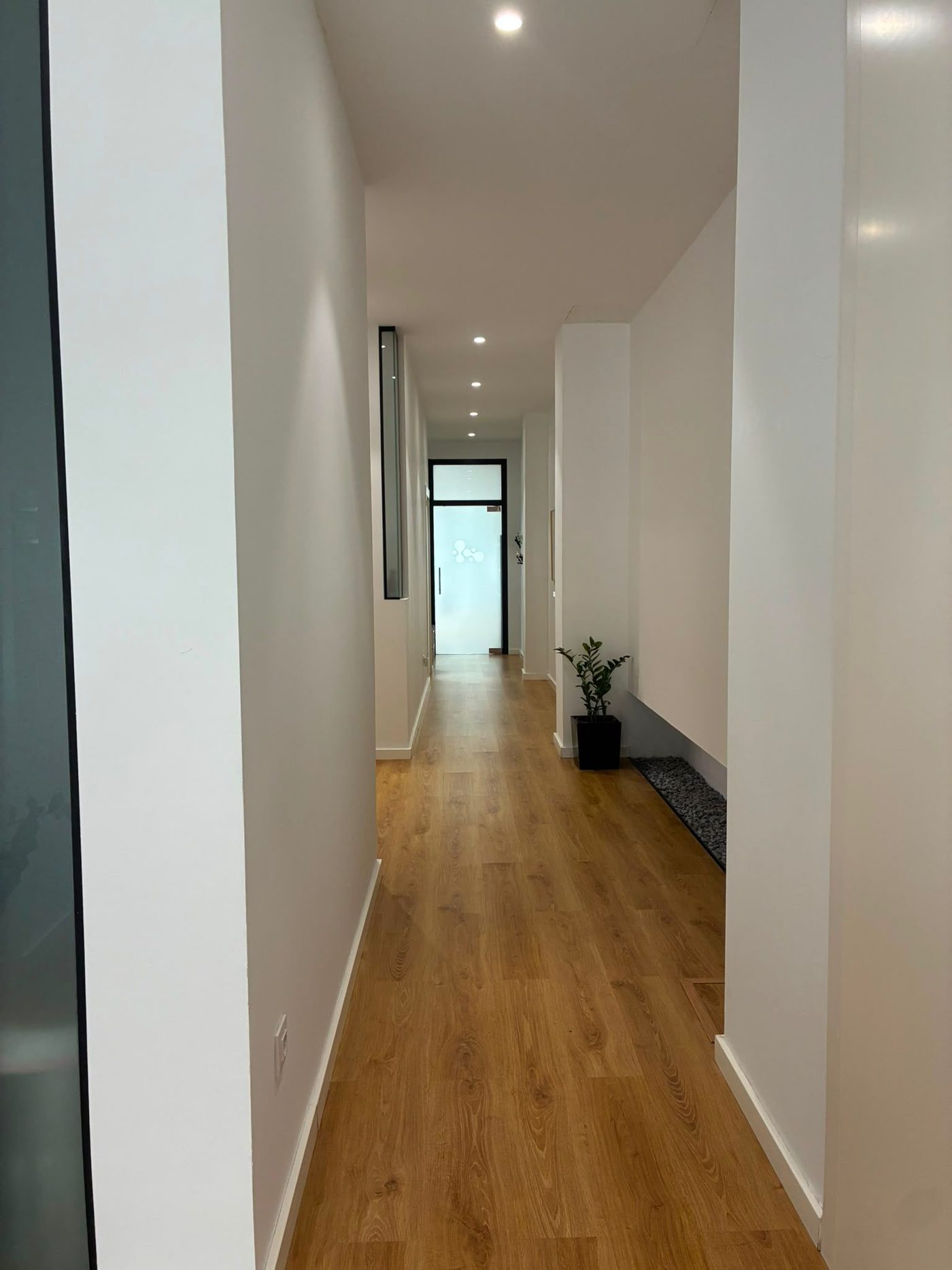 FisioSentis · Calle de Félix Latassa 10, Zaragoza