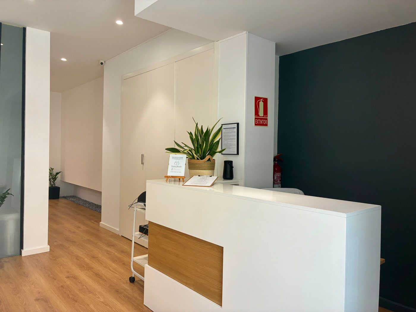 Recepción y zona de espera